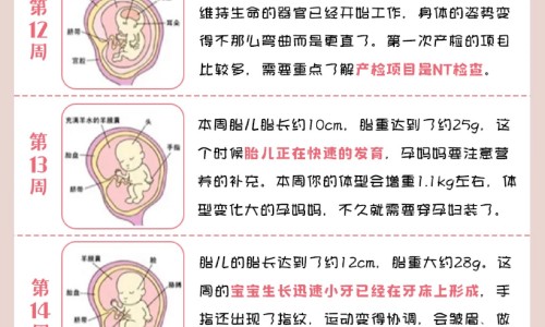汤骨和什么一起炖汤最有营养网 | 汤骨和什么一起炖汤最有营养,汤骨和什么一起炖汤最有营养价值