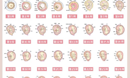 汤骨和什么一起炖汤最有营养网 | 汤骨和什么一起炖汤最有营养,汤骨和什么一起炖汤最有营养价值