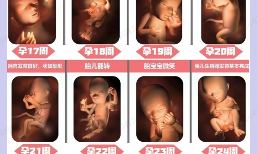 汤骨和什么一起炖汤最有营养网 | 汤骨和什么一起炖汤最有营养,汤骨和什么一起炖汤最有营养价值