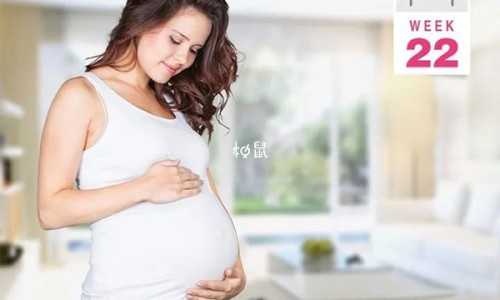 汤骨加什么蔬菜最鲜美-汤骨和什么一起炖汤最有营养网 | 汤骨和什么一起炖汤最有营养,汤骨和什么一起炖汤最有营养价值