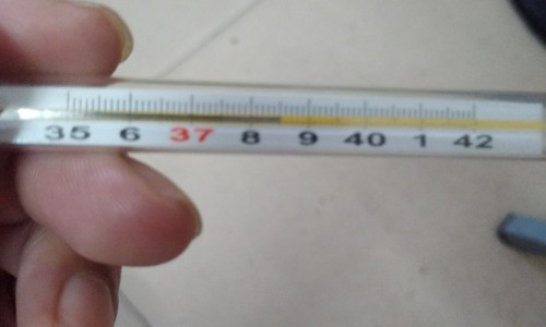 汤骨加什么蔬菜最鲜美-汤骨和什么一起炖汤最有营养网 | 汤骨和什么一起炖汤最有营养,汤骨和什么一起炖汤最有营养价值
